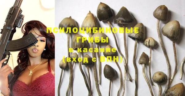 мдпв Куйбышев