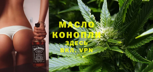 соль ск Кукмор