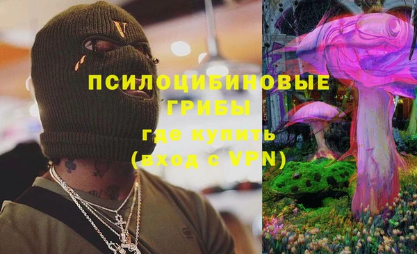 альфа пвп Краснослободск