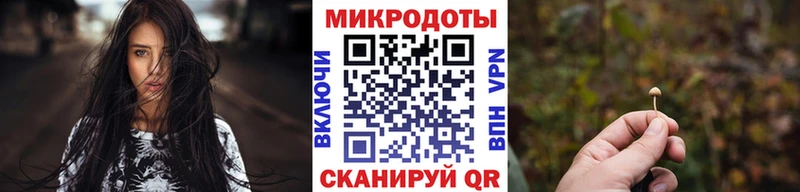 darknet телеграм  цены   Мещовск  Галлюциногенные грибы Psilocybine cubensis 